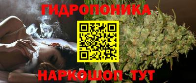 шишки Ачхой-Мартан