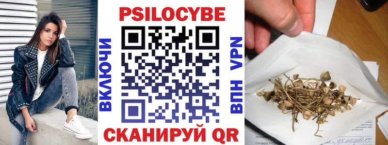 ссылка на мегу онион  купить  цена  Киреевск  Псилоцибиновые грибы Cubensis 