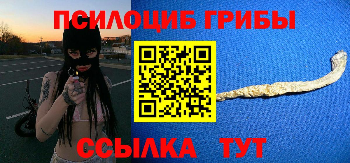 Галлюциногенные грибы мицелий Киреевск