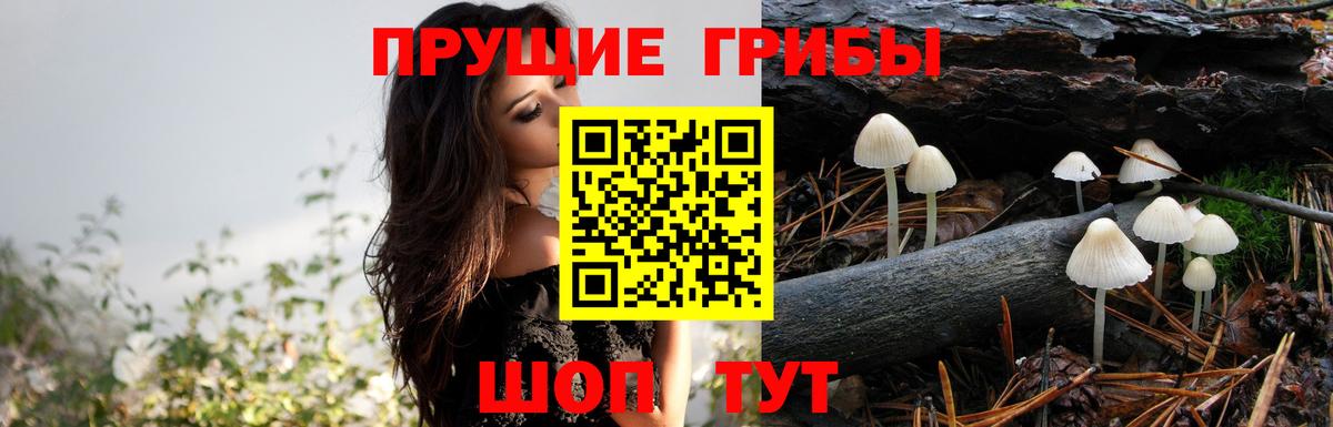 Псилоцибиновые грибы Magic Shrooms  Вход с VPN  Киреевск 